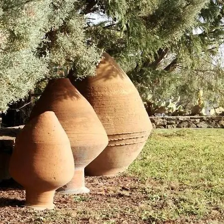 Kumaro Beachfront Pool Farm בית נופש